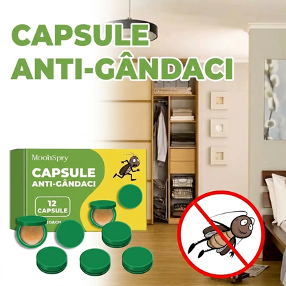 Capsule cu Gel Eficiente Împotriva Gândacilor și Insectelor – Pentru Casă, Bucătărie, Dormitor, Restaurant și Depozit