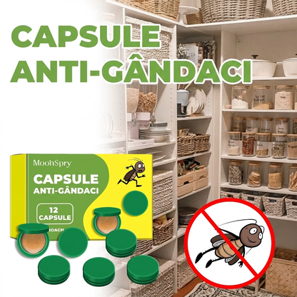 Capsule cu Gel Eficiente Împotriva Gândacilor și Insectelor – Pentru Casă, Bucătărie, Dormitor, Restaurant și Depozit