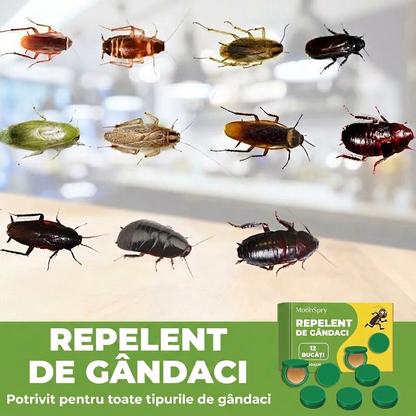 Capsule cu Gel Eficiente Împotriva Gândacilor și Insectelor – Pentru Casă, Bucătărie, Dormitor, Restaurant și Depozit